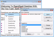 RapidSpell Desktop .NET screenshot